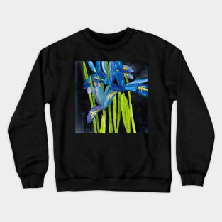 Wild Dwarf Irises Watercolor on Yupo Crewneck Sweatshirt